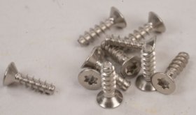 Screw - 10031840 Screw Torx 4x14 Inox 304cu Screw [Bosch Siemens]