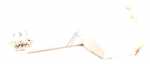 Flap - C00988444 488000988444 Dispenser Asm 535 Wm Bks_row Rec [Whirlpool Indesit]