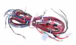 Harness - 43018933 Wiring Harness [Candy Hoover]